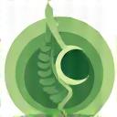 Hormonal balance icon